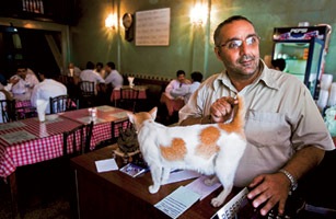 Kohinoor's son Afshin tends the counter at Britannia