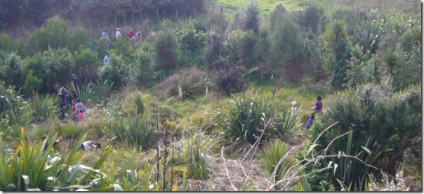 New Zealand Parsis Plant Trees in Memory of Departed Ones