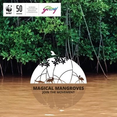 Magical Mangroves