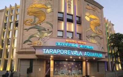 Mumbai’s iconic Taraporevala Aquarium to be reopened