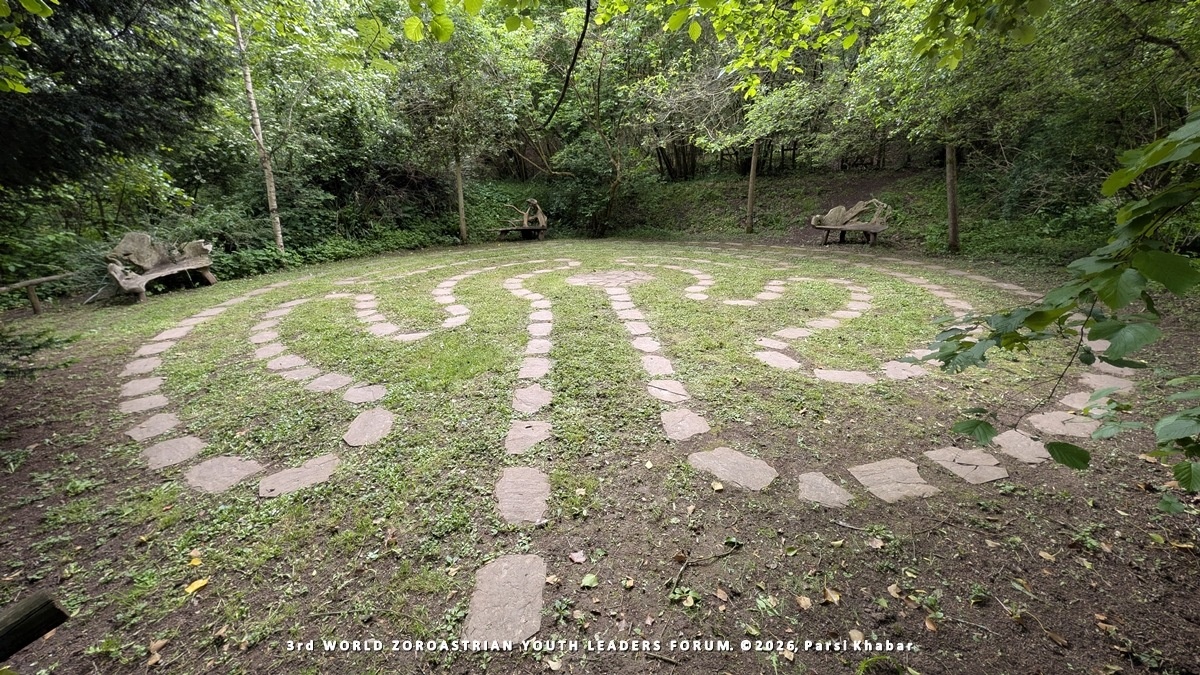 WZYLF017-20260528
