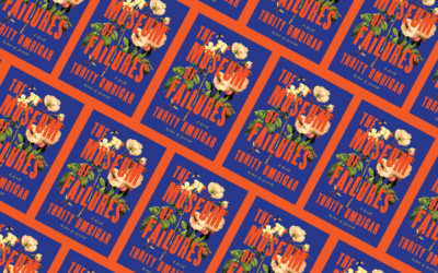 The Museum of Failures is an excellent example of Thrity Umrigar&rsquo;s strengths as a novelist