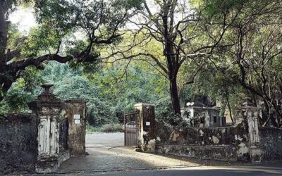 Mumbai: Proposed Dandiya Event At Doongerwadi Stirs Up Debate