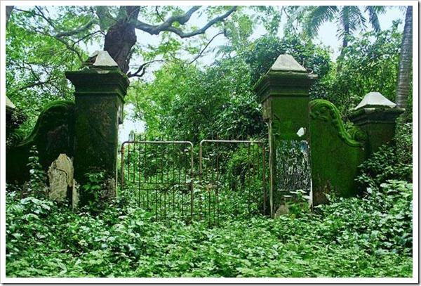 Bordi: In Search of Serenity