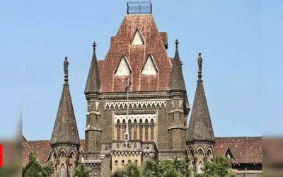 Bombay HC asks Parsi Punchayet to work out Plan B in woman&rsquo;s plea to fight polls