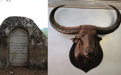 A Memorial to Pestonji Nowroji Kharas in Bastar village honours tragic love, vengeance