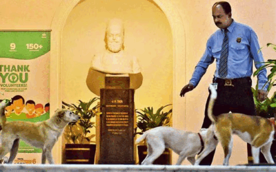 The day Parsis shut Bombay down over stray dogs