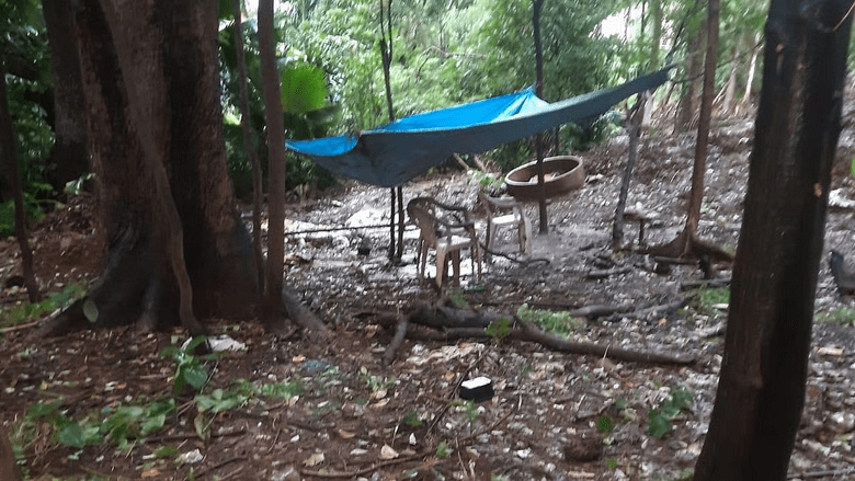 Bombay Parsi Punchayet Denies Rumours Of Development At Doongarwadi