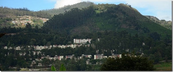 nilgiris_tea-parties